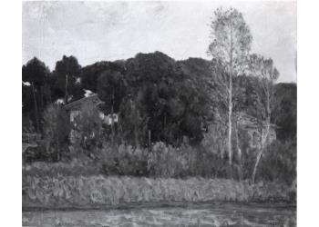 La casa in pineta La casa in pineta